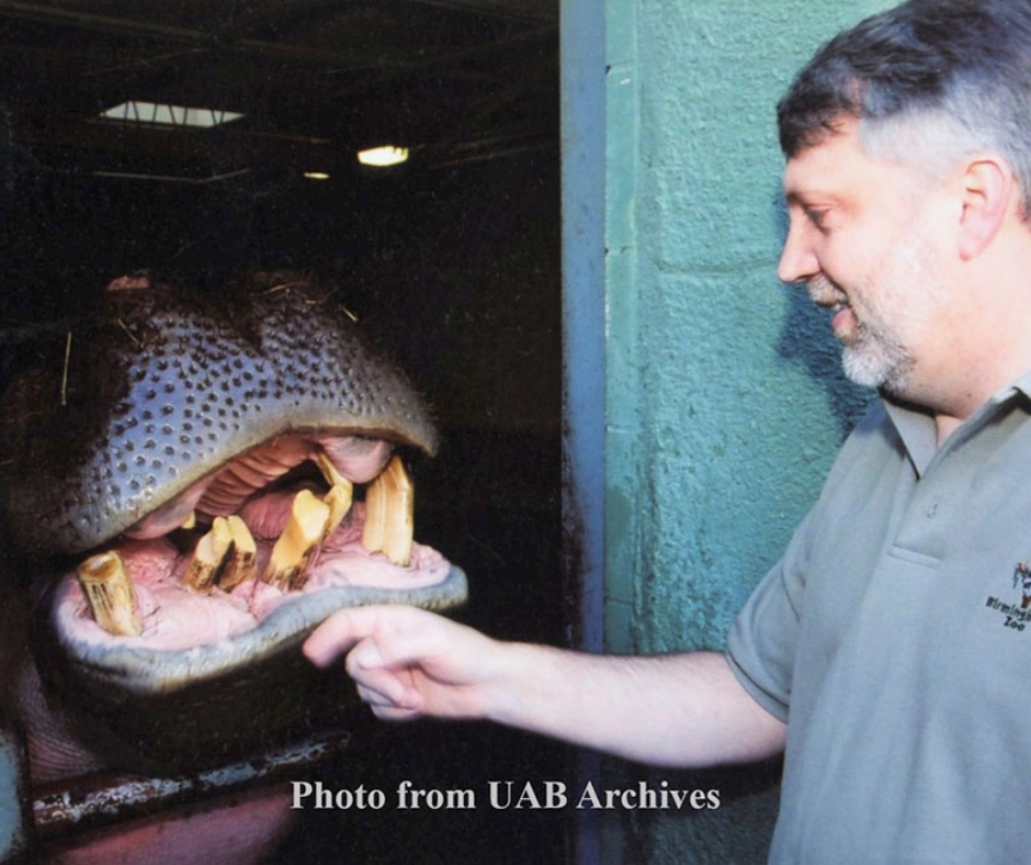 A photo of a white man in grey shirt touching the chin of a hippo wit hthe words displayed, 